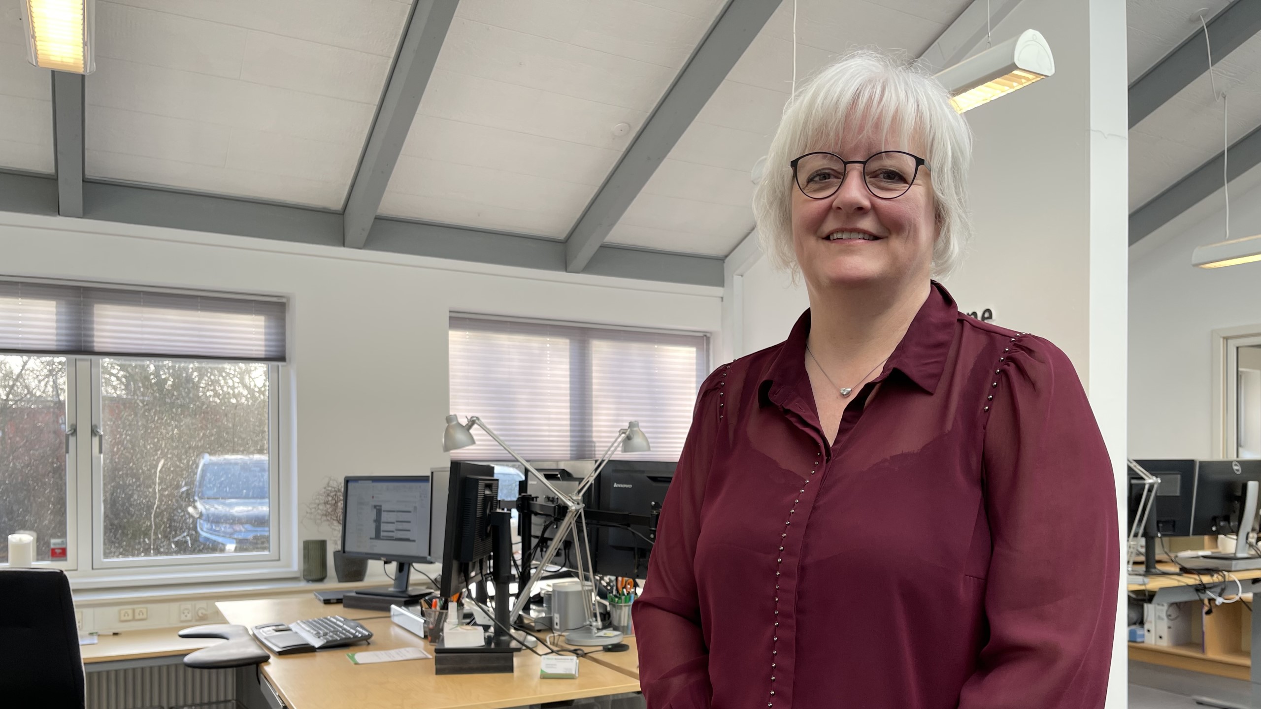 Lenette Sørensen, Proceskonsulenterne